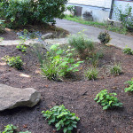 rain garden with a channel cutting through a walking path