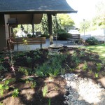 rain garden