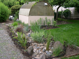 rain garden and lawn