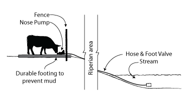 nose pump