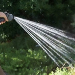 watering by hand