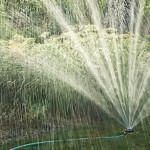 watering a yard with a sprinkler
