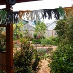 Yard Tour 2013 photo