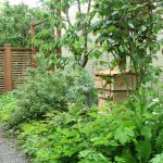 Yard Tour 2013 photo