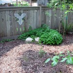Yard Tour 2013 photo