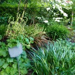 Yard Tour 2013 photo