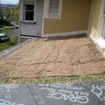 jute layer for ecoroof