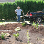 standing by a just-built rain garden