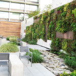 Living wall.