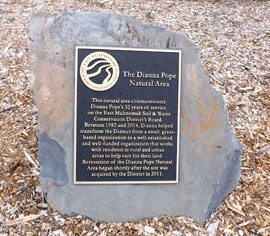 Dianna Pope Natural Area