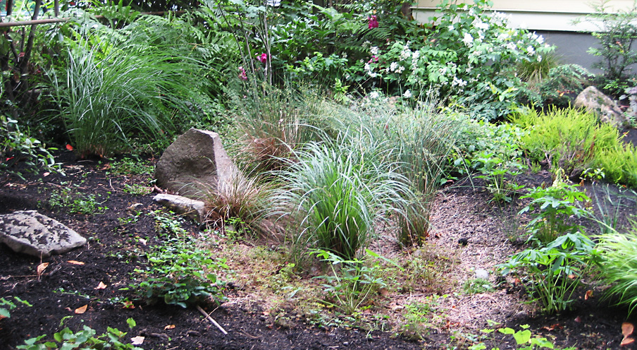 Rain Garden Cost Share