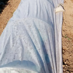 used pants to hold down floating row covers
