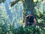 Arboriculture International