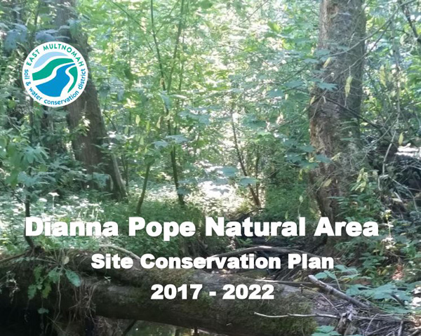 DPNA Plan Cover