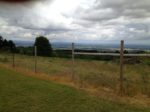 Deer Fence