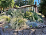 Earth Ecology, LLC