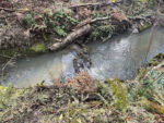 Earth Ecology, LLC