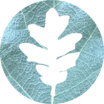Earth Ecology, LLC