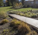 Boardwalk through reconstructed wetland