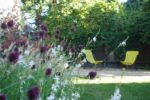 Summer pollinator garden