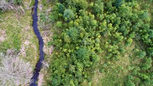 An aerial view of restoration efforts along Johnson Creek on the property