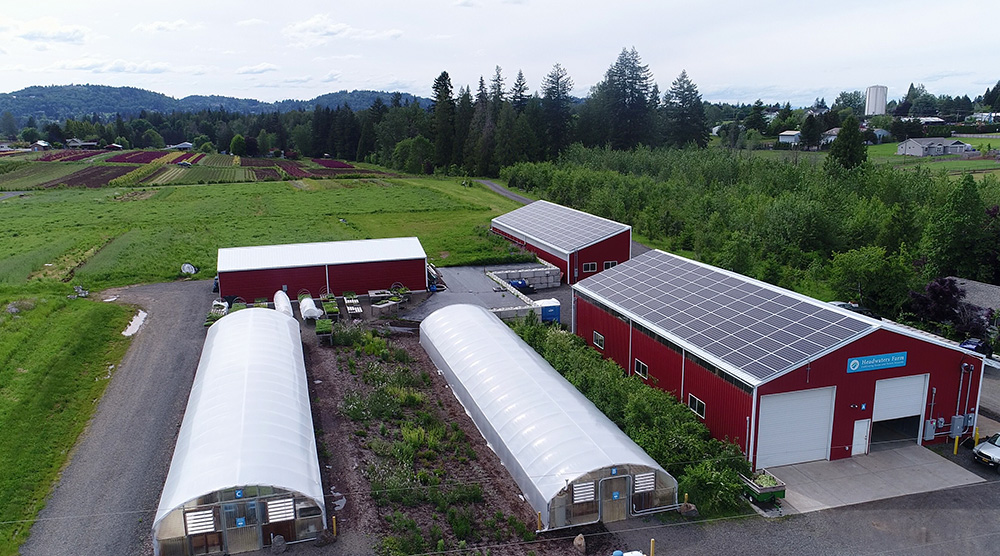 A view of both solar panel installations at Headwaters Farm