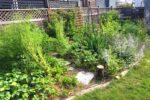 SymbiOp Landscaping