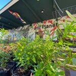 SymbiOp Garden Shop
