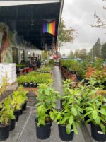 SymbiOp Garden Shop
