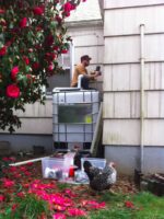 We install complex rain harvesting systems - barrels or cubes