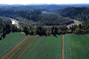 aerial view of the Big Creek Farm