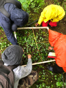 Wisdom Workforce Interns conducting a plant survey