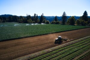 A tractor tills the soil between rows of vegetable crops. In the distance, blue skies over foothills and evergreen trees.