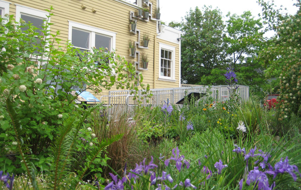 East Multnomah Soil and Water Conservation District's 'Conservation Corner' demonstration yard