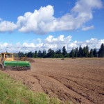 crawler tractor at Headwaters