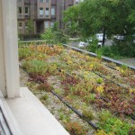 Eco-roof