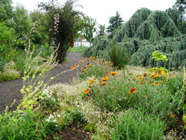 naturescaped yard at EMSWCD