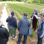 Tajikistan tour