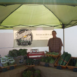 farmer's market stand