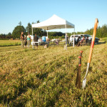 thistle weeding pot luck