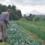 Headwaters Farm - Rick inspecting crops