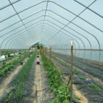 Headwaters Farm Greenhouse