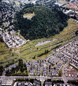 Fairview Creek Headwaters