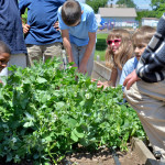 Cully Young Farmers Project