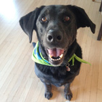 Milo : Security Manager and IT Security Specialist