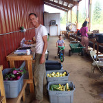 Rick of Abundant Fields Farm at the Headwaters wash station