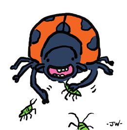 animation of ladybug eating aphids