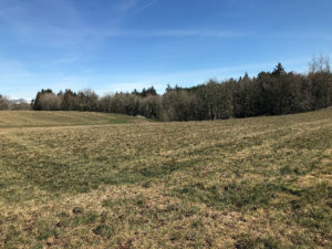 Fields and forest at Oxbow Farm