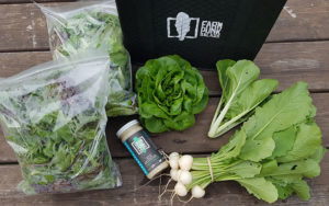 An arrangement of greens and products from Farm Punk Salads