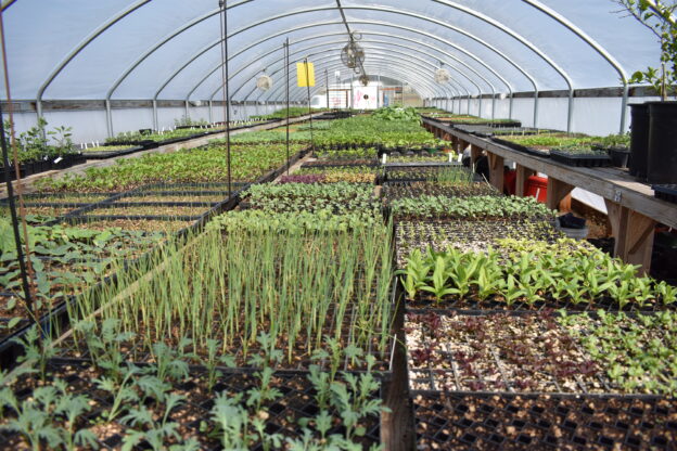 Image of indoor farm